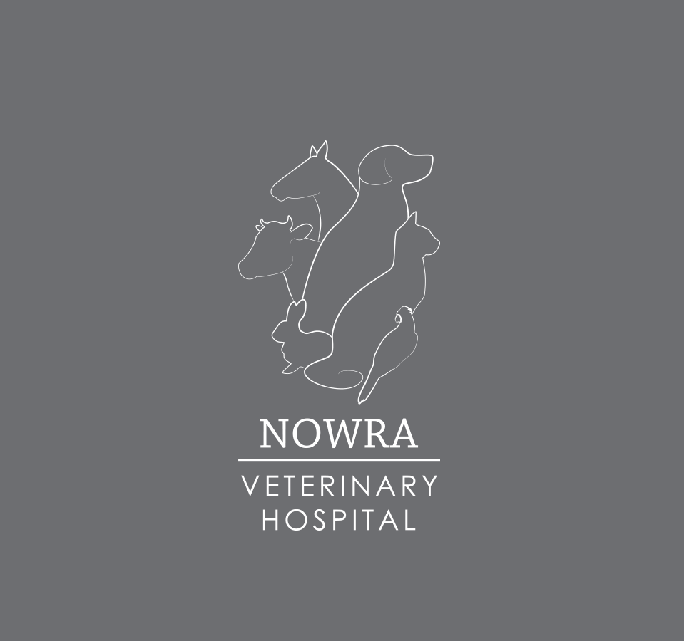 Nowra Veterinary Hospital