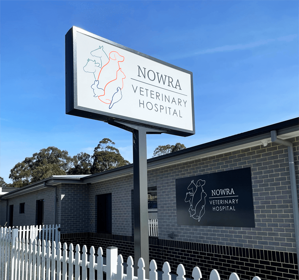 Brand Identity and SEO Website for Veterinary Hospital