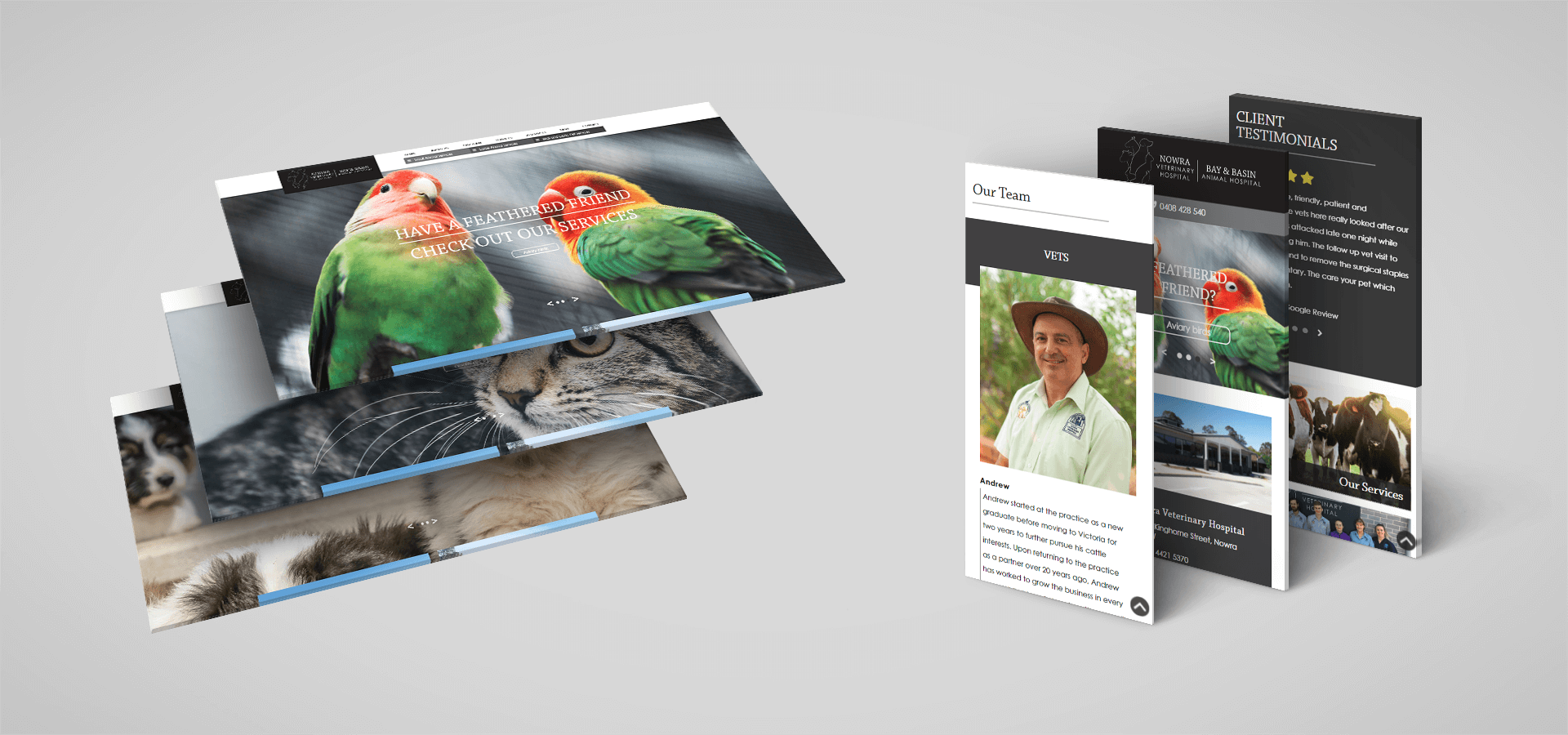 Brand Identity and SEO Website for Veterinary Hospital