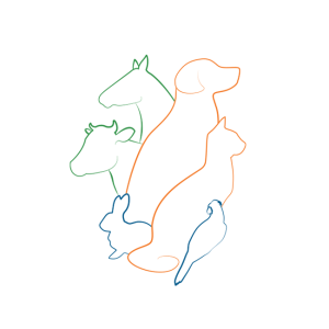 Brand Identity and SEO Website for Veterinary Hospital