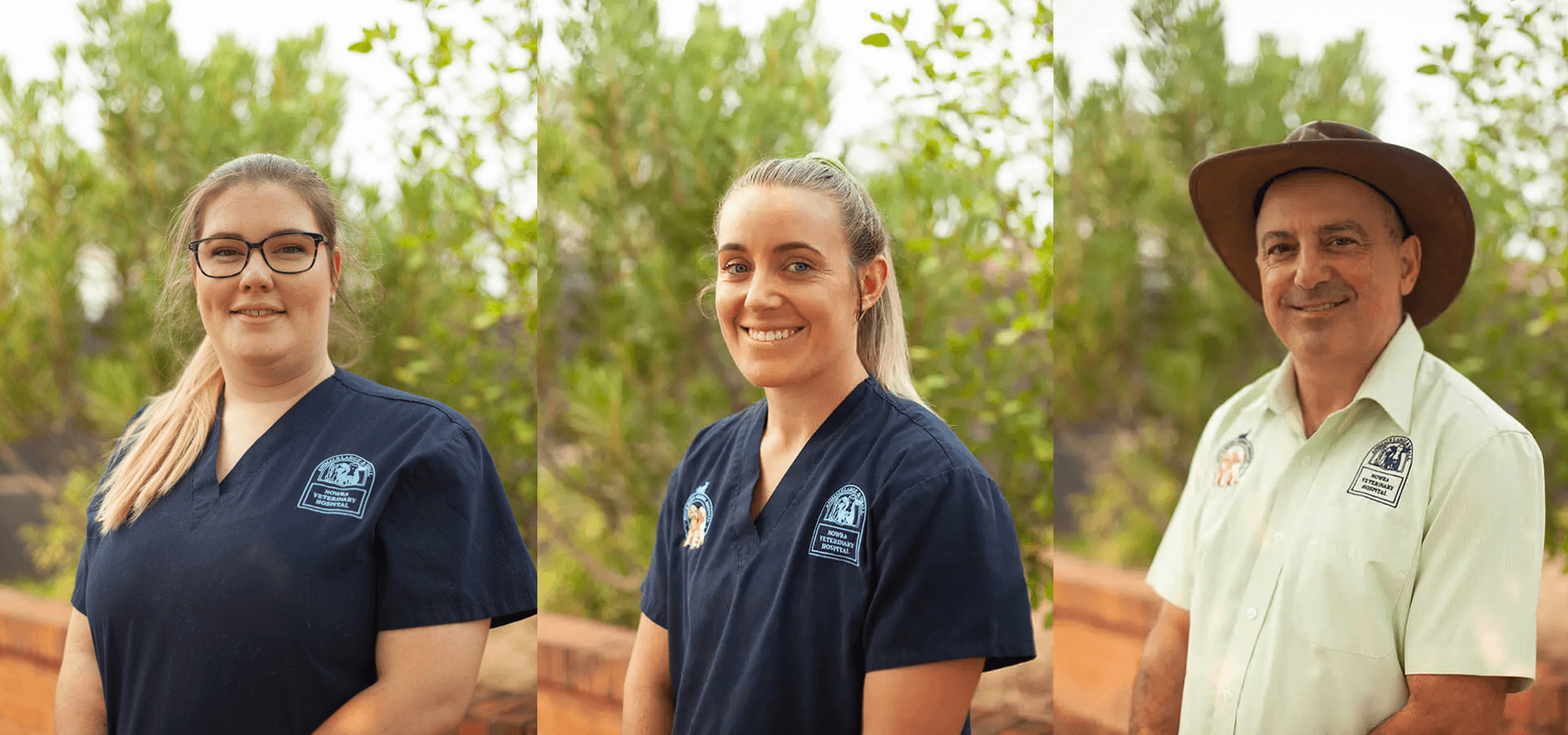 Brand Identity and SEO Website for Veterinary Hospital